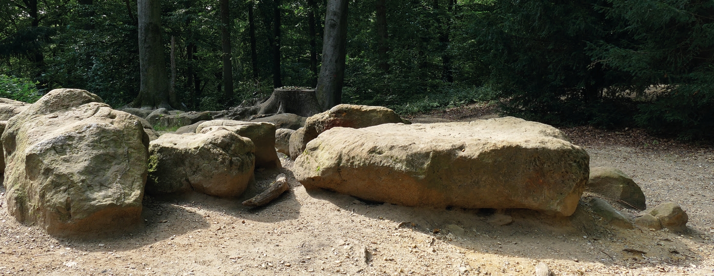 Frauensteine im Aaper Wald Quarzitblöcke aus dem Oligozän